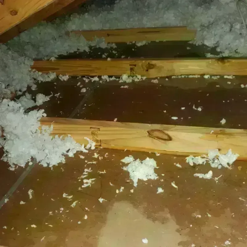 Attic Water Damage in Chino, CA