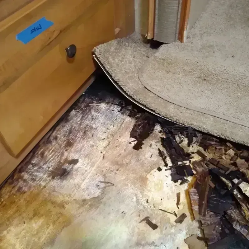 Wood Floor Water Damage in Chino, CA